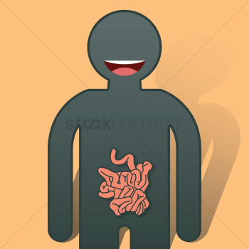 Human small intestine