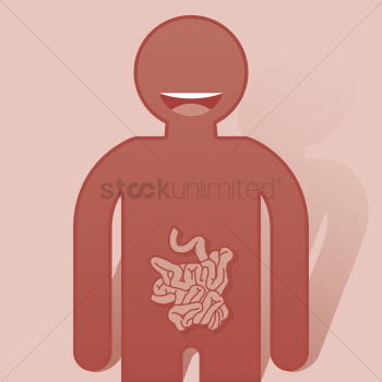 Human small intestine