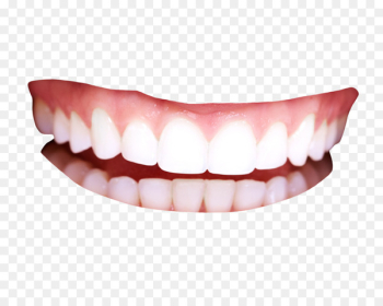 Human tooth - Teeth Human tooth - Teeth