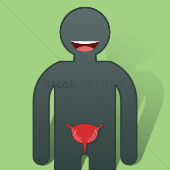 Human urinary bladder Human urinary bladder