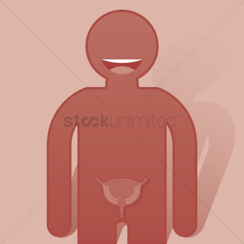 Human urinary bladder Human urinary bladder