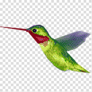 Hummingbird Animation, Animation transparent background PNG clipart Hummingbird Animation, Animation transparent background PNG clipart