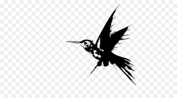 Hummingbird Beak Fauna - Hummingbird Beak Fauna -