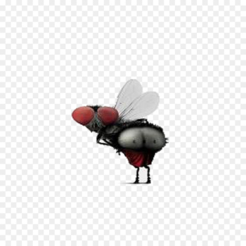 Humour Insect wing Icon - Funny fly Humour Insect wing Icon - Funny fly