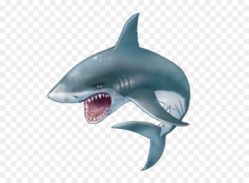 Hungry Shark Evolution Great white shark Clip art - Shark PNG 