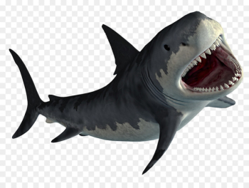 Hungry Shark World Hungry Shark Evolution MPEG-4 Part 14 - shark 