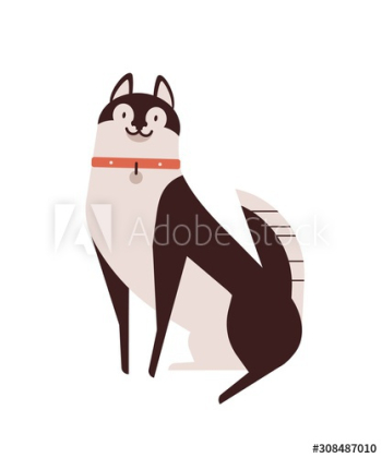 Husky dog flat vector illustration Husky dog flat vector illustration