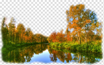 HVGA Tree Aspect ratio, sque landscape transparent background PNG clipart HVGA Tree Aspect ratio, sque landscape transparent background PNG clipart