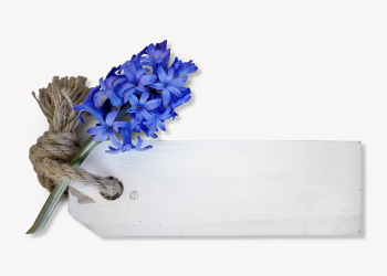 Hyacinth & label collage element | Free PSD - rawpixel Hyacinth & label collage element | Free PSD - rawpixel