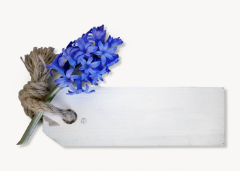 Hyacinth & label image, isolated | Free Photo - rawpixel Hyacinth & label image, isolated | Free Photo - rawpixel