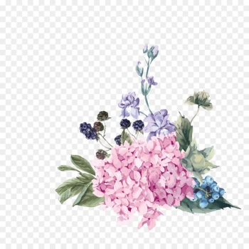 Hydrangea Flower Royalty-free Illustration - Hand-painted flowers free to pull 