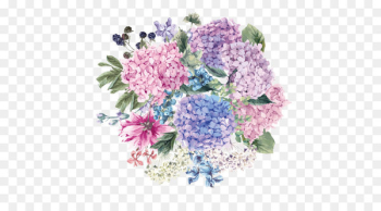 Hydrangea petiolaris Wedding invitation Flower Blossom - Hand-painted watercolor flower 