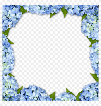 Hydrangea Picture Frame Flower - Blue Hydrangea Flower Border Hydrangea Picture Frame Flower - Blue Hydrangea Flower Border