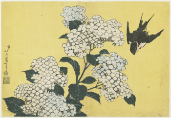 Hydrangeas and Swallow (ca.1833–1834) in high | Free Photo - rawpixel Hydrangeas and Swallow (ca.1833–1834) in high | Free Photo - rawpixel