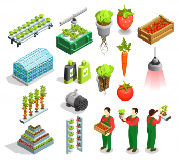 Hydroponic and aeroponic isometric icons Free Vector Hydroponic and aeroponic isometric icons Free Vector