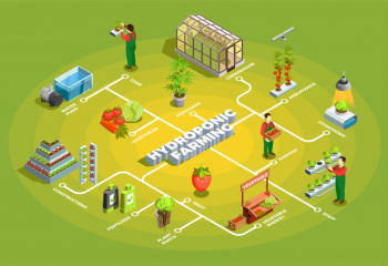 Hydroponic farming isometric flowchart Free Vector Hydroponic farming isometric flowchart Free Vector