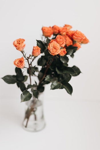 I love elegant and minimal images, and I am inspired by like-minded feeds on Instagram. Also, I love anything that involves florals. Every week I purchase flowers from Trader Joes and practice my photography skills shooting them. Usually, I incorporate props from around the home. They can be anything simple from a piece of fabric or little plates I’ve gathered etc.  To shoot the images I generally style the items I’ll be using in front/on some foam board. Also,  natural light is a must!