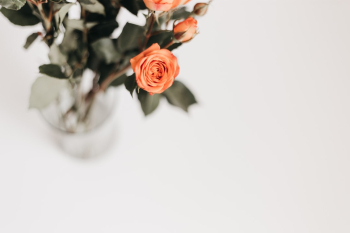 I love elegant and minimal images, and I am inspired by like-minded feeds on Instagram. Also, I love anything that involves florals. Every week I purchase flowers from Trader Joes and practice my photography skills shooting them. Usually, I incorporate props from around the home. They can be anything simple from a piece of fabric or little plates I’ve gathered etc.  To shoot the images I generally style the items I’ll be using in front/on some foam board. Also,  natural light is a must!
