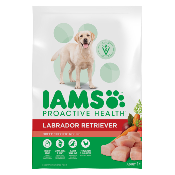 IAMS PROACTIVE HEALTH Adult Dry Labrador Dog Food IAMS PROACTIVE HEALTH Adult Dry Labrador Dog Food