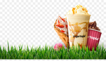 Ice cream Yogurtopia Frozen yogurt Fudge Chocolate brownie - ice cream 