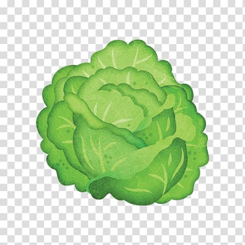 Iceberg lettuce Leaf vegetable Cabbage, lettuce transparent background PNG clipart Iceberg lettuce Leaf vegetable Cabbage, lettuce transparent background PNG clipart