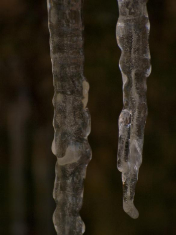 Icicles Icicles