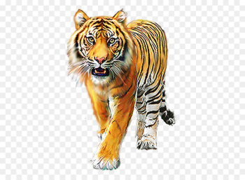 Icon - animal Icon - animal