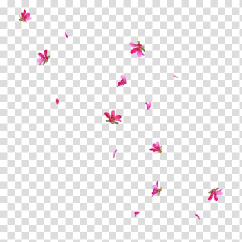 Icon, Falling Flowers transparent background PNG clipart