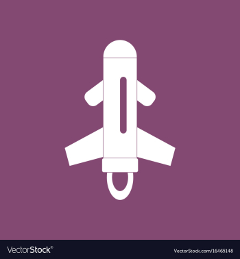 Icon flying rocket vector image Icon flying rocket vector image