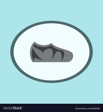 Icon in flat design fashion footwear sport shoes vector image Icon in flat design fashion footwear sport shoes vector image