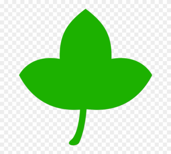 Icon Leaf Green Tree Nature Leaves Plant - Leaf