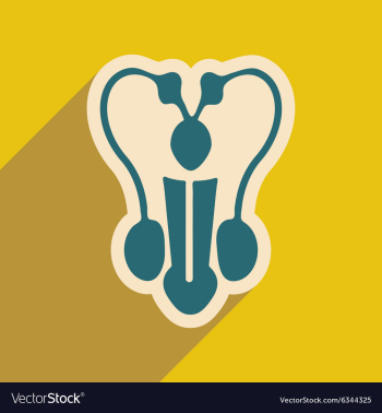 Icon of man penis in flat style vector image Icon of man penis in flat style vector image