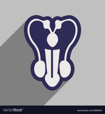 Icon of man penis in flat style vector image Icon of man penis in flat style vector image