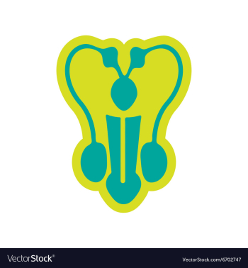 Icon of man penis in flat style vector image Icon of man penis in flat style vector image