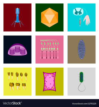 Icons set in flat style cells viruses teeth vector image Icons set in flat style cells viruses teeth vector image