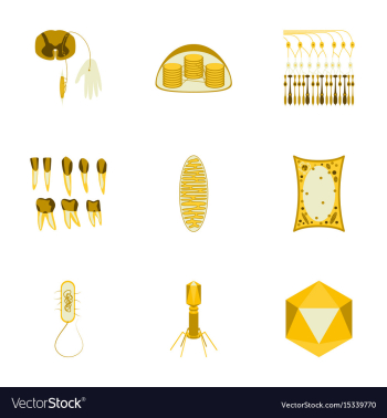 Icons set in flat style cells viruses teeth vector image Icons set in flat style cells viruses teeth vector image