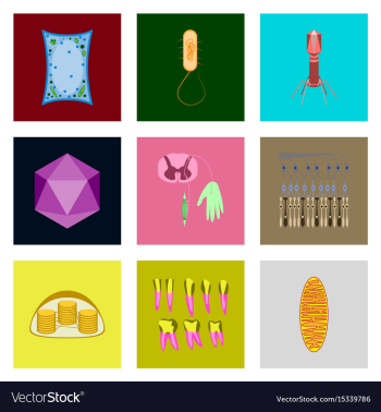 Icons set in flat style cells viruses teeth vector image Icons set in flat style cells viruses teeth vector image