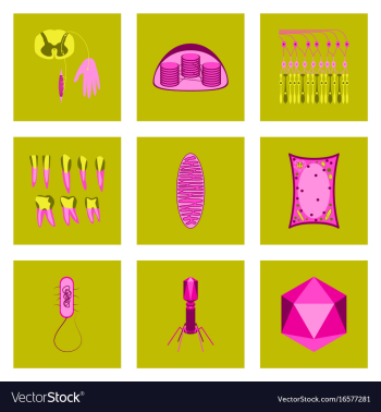 Icons set in flat style cells viruses teeth vector image Icons set in flat style cells viruses teeth vector image
