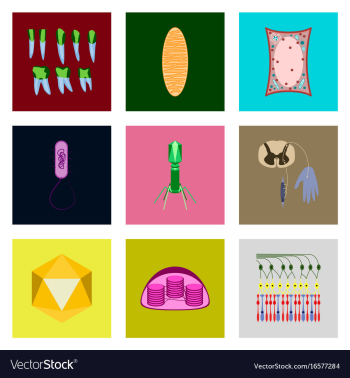 Icons set in flat style cells viruses teeth vector image Icons set in flat style cells viruses teeth vector image