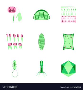Icons set in flat style cells viruses teeth vector image Icons set in flat style cells viruses teeth vector image