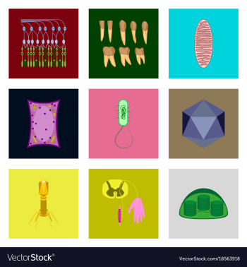 Icons set in flat style cells viruses teeth vector image Icons set in flat style cells viruses teeth vector image