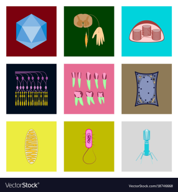 Icons set in flat style cells viruses teeth vector image Icons set in flat style cells viruses teeth vector image