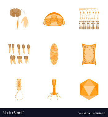 Icons set in flat style cells viruses teeth vector image Icons set in flat style cells viruses teeth vector image