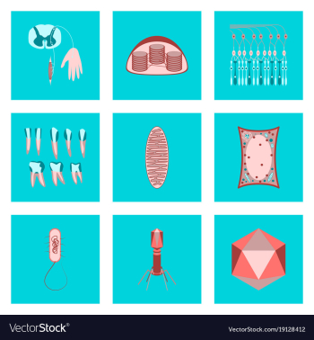 Icons set in flat style cells viruses teeth vector image Icons set in flat style cells viruses teeth vector image