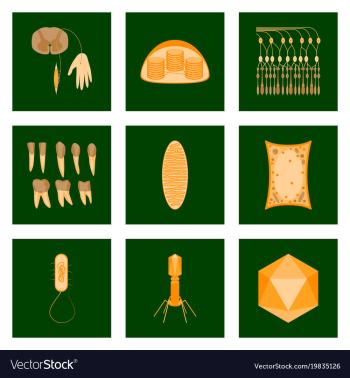 Icons set in flat style cells viruses teeth vector image Icons set in flat style cells viruses teeth vector image