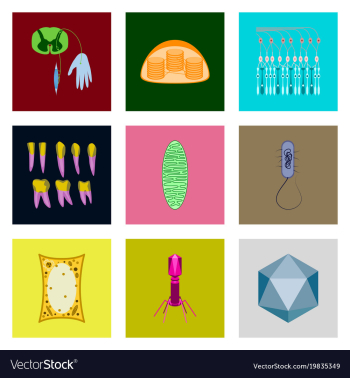 Icons set in flat style cells viruses teeth vector image Icons set in flat style cells viruses teeth vector image