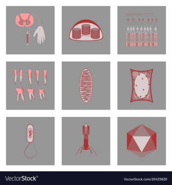 Icons set in flat style cells viruses teeth vector image Icons set in flat style cells viruses teeth vector image