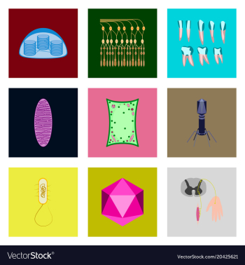 Icons set in flat style cells viruses teeth vector image Icons set in flat style cells viruses teeth vector image