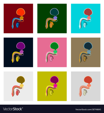 Icons set in flat style male reproductive system vector image Icons set in flat style male reproductive system vector image