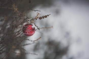 Icy Winter Christmas Decor Icy Winter Christmas Decor